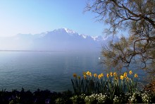 Alpen / ***