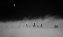 Haze / ***
