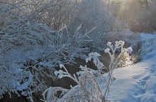 Ein Lichtblick in der Winterreich / ***