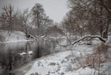 Winter denek / 22.01.15