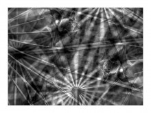 Effect oduvan / /////