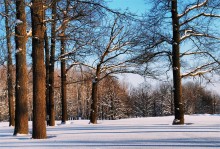 Winter Symphony / ***