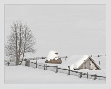 Winter Day 3 / ***