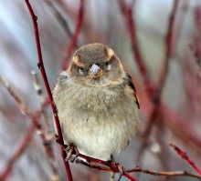 It'S Cold ... / ***
