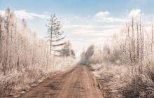 The Winter's Tale in Naliboki Forest / ***