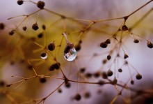 Autumn motive / ***