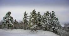 Nach einer nächtlichen Schneefall / ***