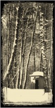 the prose of life / ***