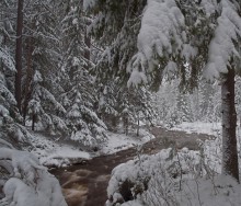Winter floods / ***