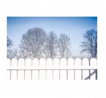 And there, behind the fence ... / ***