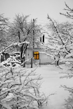 Winter morning in the private sector / ***