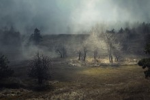 Witches Dance / ***