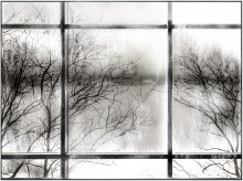 Windows / ***