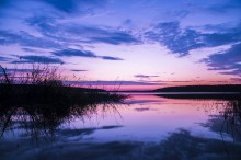 Sunset in the suburbs / ***