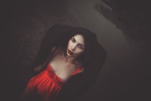twilight / ***