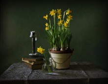 Hasten the spring ... / _^_