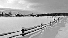 Vologda backwoods ... / ***