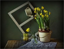 Hasten the spring ... (2) / _^_