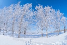 Winter says goodbye nicely ... / ***