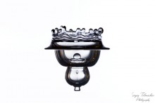 Root crown / ***