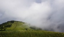 Morning fog / ***