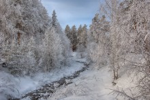 White frost / ***