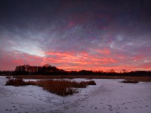 February evening / ***
