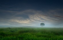 &quot;Evening Mist&quot; / ***