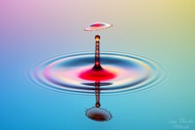 UFO / ***