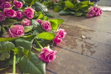 Roses / ***