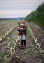 Corn picker / ***