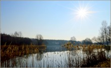 spring morning / ***