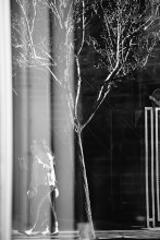 Friday overexposure / ***
