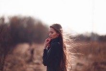 Wind / ***