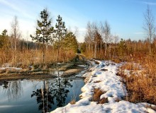 I look at the dark lake ... / ***
