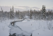 Somewhere in the Arctic III / ...