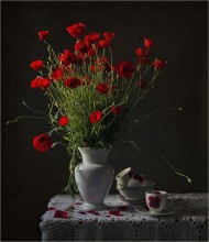 Poppies / _^_