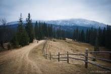 Gradually to the top / Road in Gori / ***