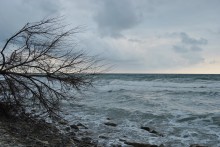Wind / ...