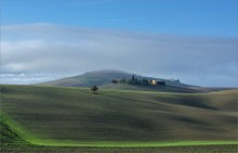 On the roads of Tuscany / ***