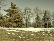 crawls nature / ***