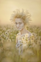 Dandelions / ***