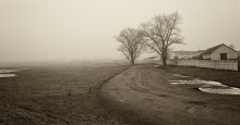 Roadside landscape .... / ***