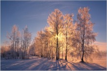 Winter landscape ... / ***