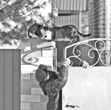 Spring story / ....