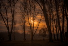 Evening walk / ***