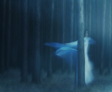 Elven forest / ***