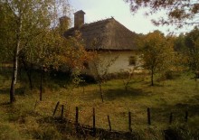 Once there was a fall / ***