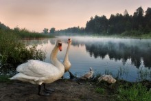 Against the background of the lake is removed the family! / -----------------