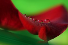 A series of &quot;bends&quot; / [img]http://s017.radikal.ru/i440/1503/af/a8f8f1ee19fc.jpg[/img]

[img]http://s018.radikal.ru/i514/1503/4a/ae8948d482a8.jpg[/img]

[img]http://s017.radikal.ru/i415/1503/b5/9cd2912f919a.jpg[/img]

[img]http://s61.radikal.ru/i171/1503/d2/3cd8c11b3640.jpg[/img]

[img]http://s04.radikal.ru/i177/1503/b4/169c1d466acc.jpg[/img]

[img]http://i038.radikal.ru/1503/5c/532071c012a5.jpg[/img]